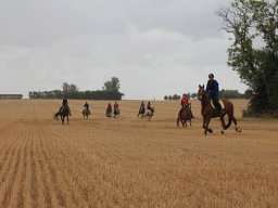 IMG_7105-029